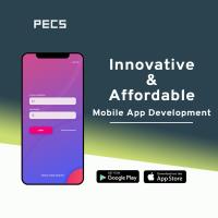 Planet E-Com Solutions(PECS) image 5